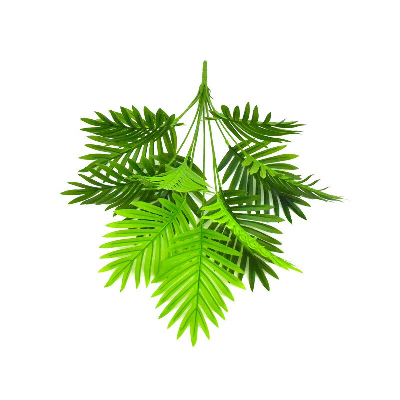 莲雾种植方法：掌握技巧，收获丰硕果实