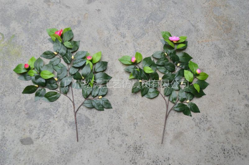 嫩枝扦插视频：掌握技巧，轻松繁殖植物