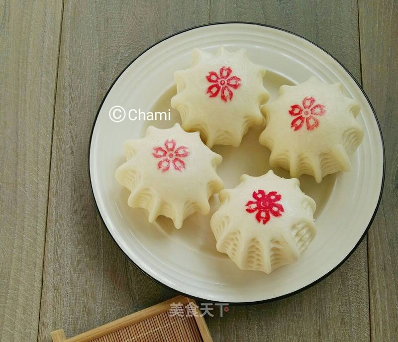 橡皮树的刻芽方法视频：详解养护技巧