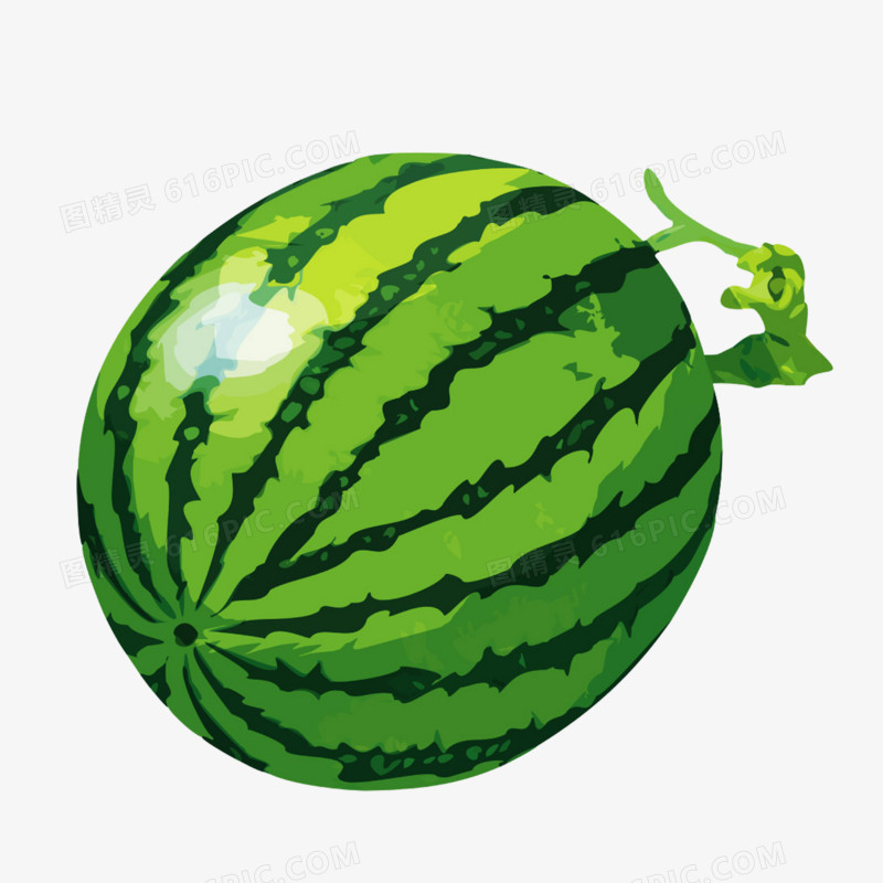 苋菜的种植方法和时间：掌握关键要点，轻松种植绿色美食