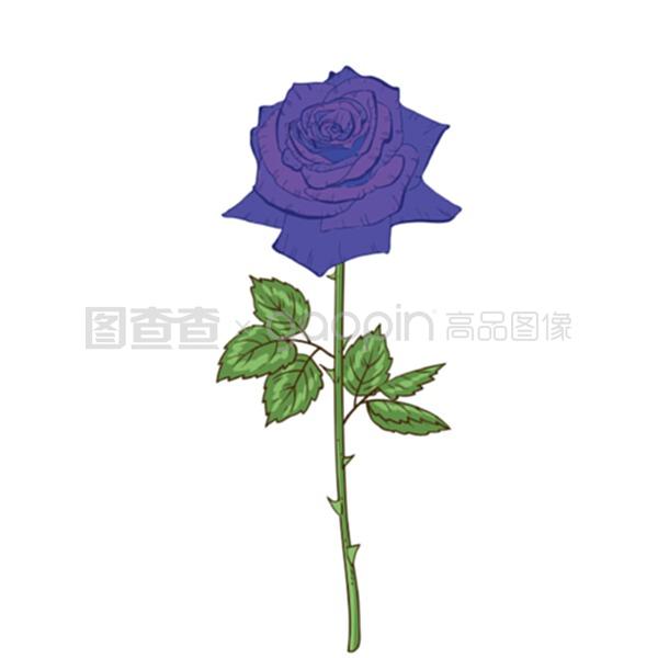 茶花扦插方法：掌握技巧，轻松繁殖美丽茶花