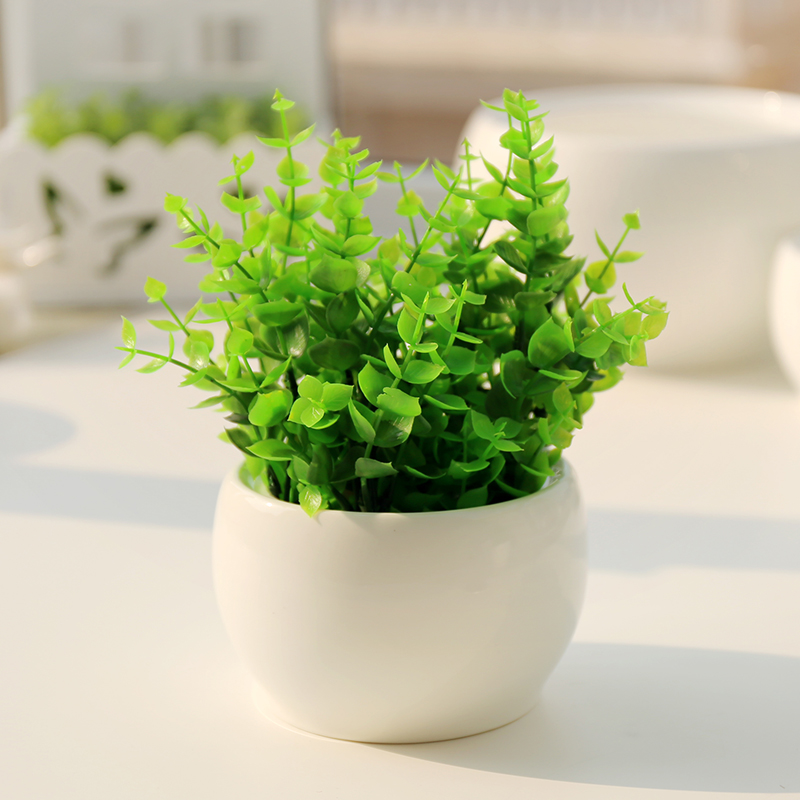 山茶花春季可以扦插吗？专业园丁告诉你答案