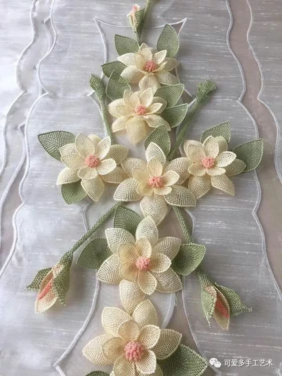 矮四季豆的种植方法：掌握技巧，轻松丰收