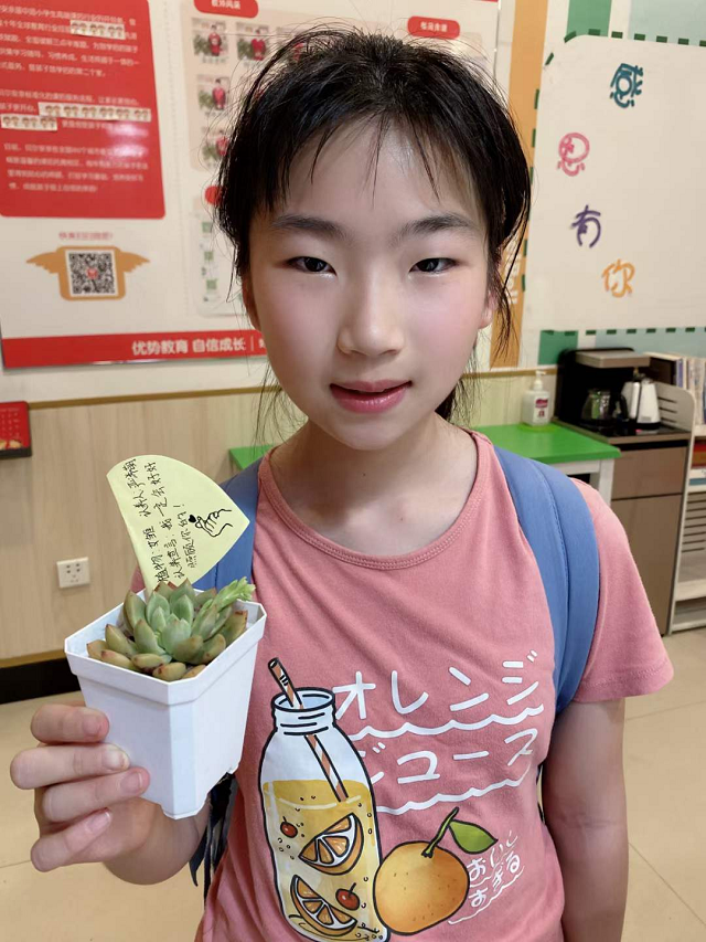 三角梅的养殖方法和注意事项