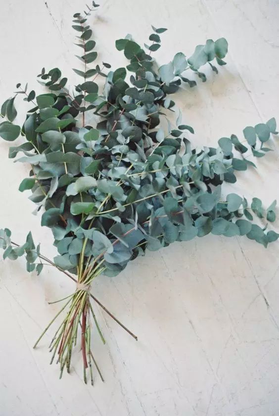 宰兔子方法：人道与效率并重的指南