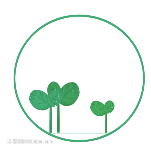 菠萝种植方法：掌握关键步骤，实现丰收之道