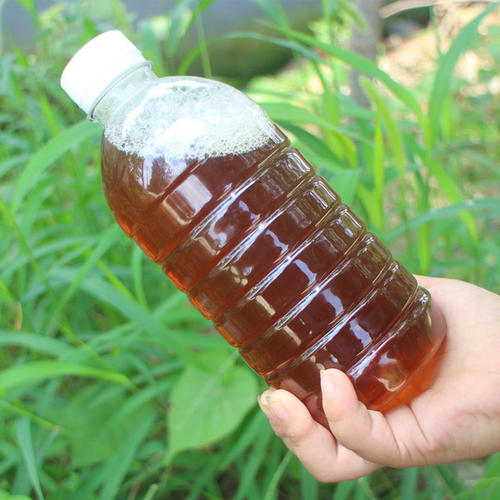 豌豆种植方法：从播种到收获的全方位指南