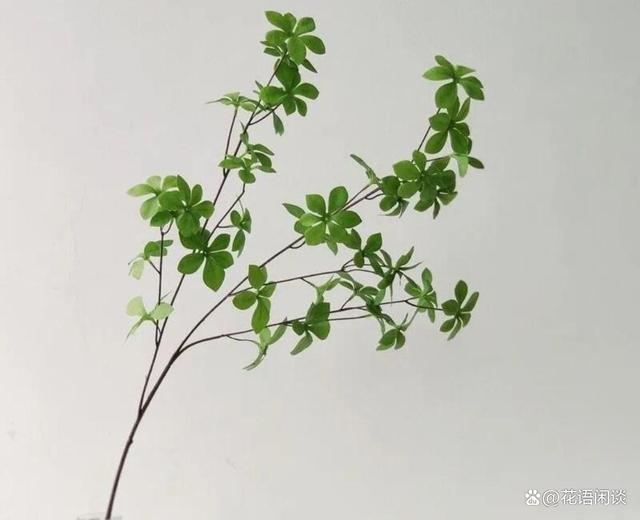 猪粪的处理方法：环保与资源化利用新思路
