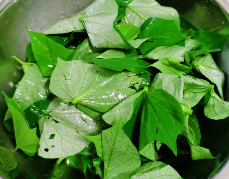 花盆辣椒种植方法：家庭园艺新选择