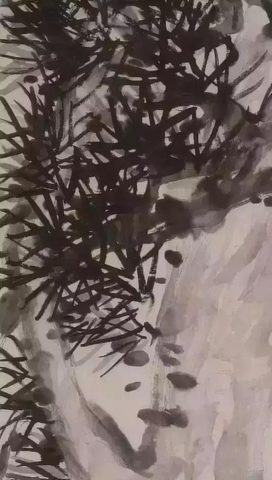 红掌盆栽时：养护技巧与注意事项