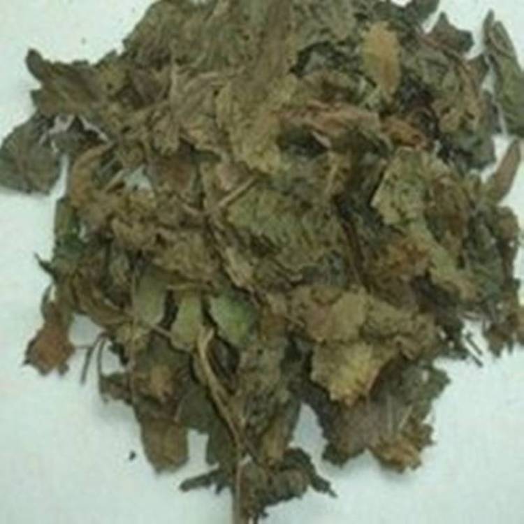 盆栽牡丹换盆：专业园丁的换盆指南