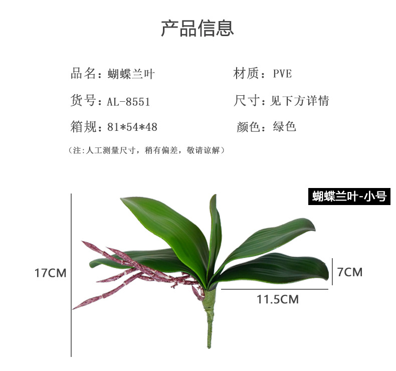 竹节海棠扦插方法图解：家庭园艺爱好者的指南