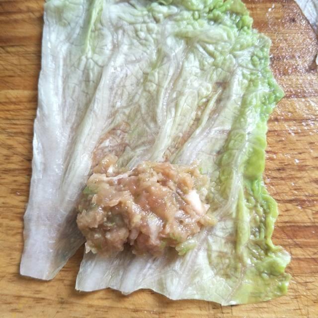 养殖蝉的方法：科学饲养，收获自然之美
