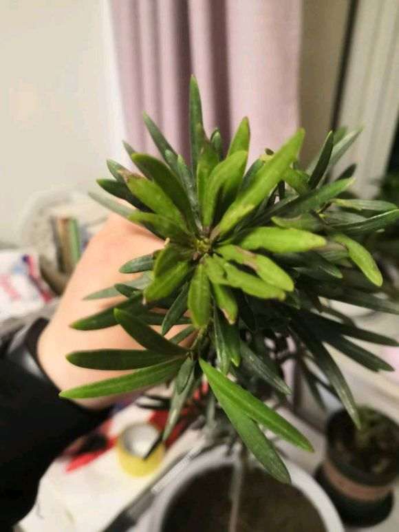 耕种方法：开启高效农业新篇章