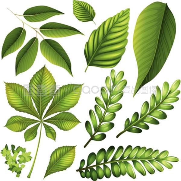 家庭盆栽花卉：打造绿色生活空间的秘诀