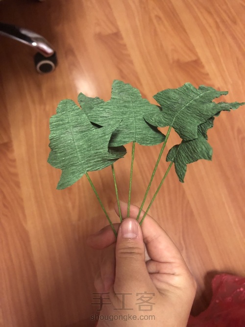 枝子花什么时候扦插？专业园丁的扦插指南