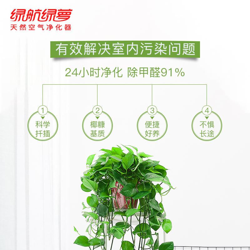 菜狗养殖方法：从入门到精通