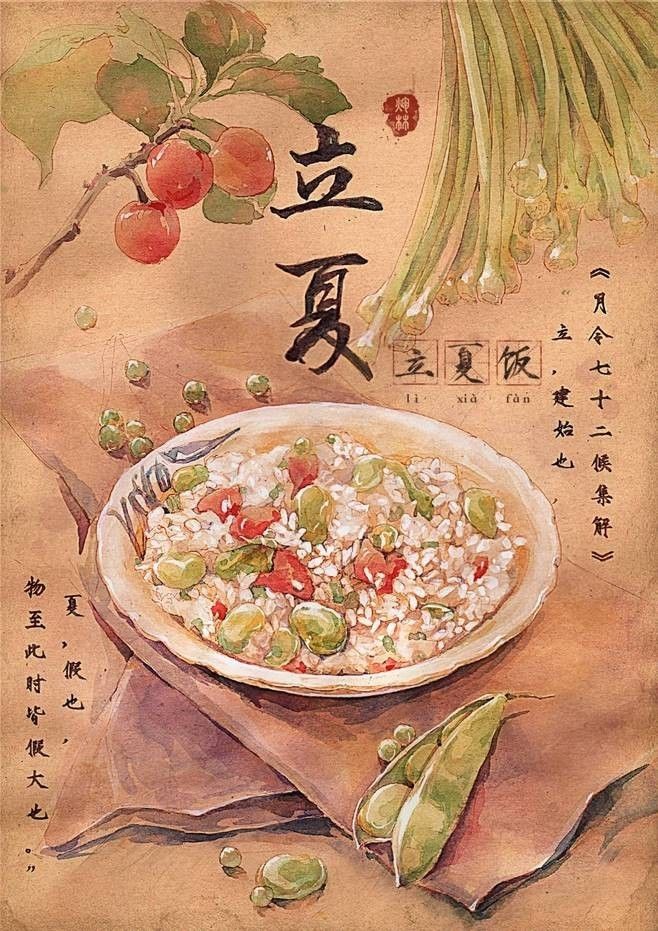 红掌的繁殖方法视频：详解繁殖步骤与技巧