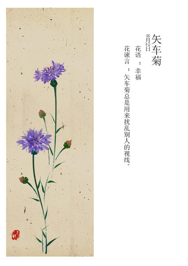 紫香兰养殖方法：掌握关键要点，让你的紫香兰茁壮成长