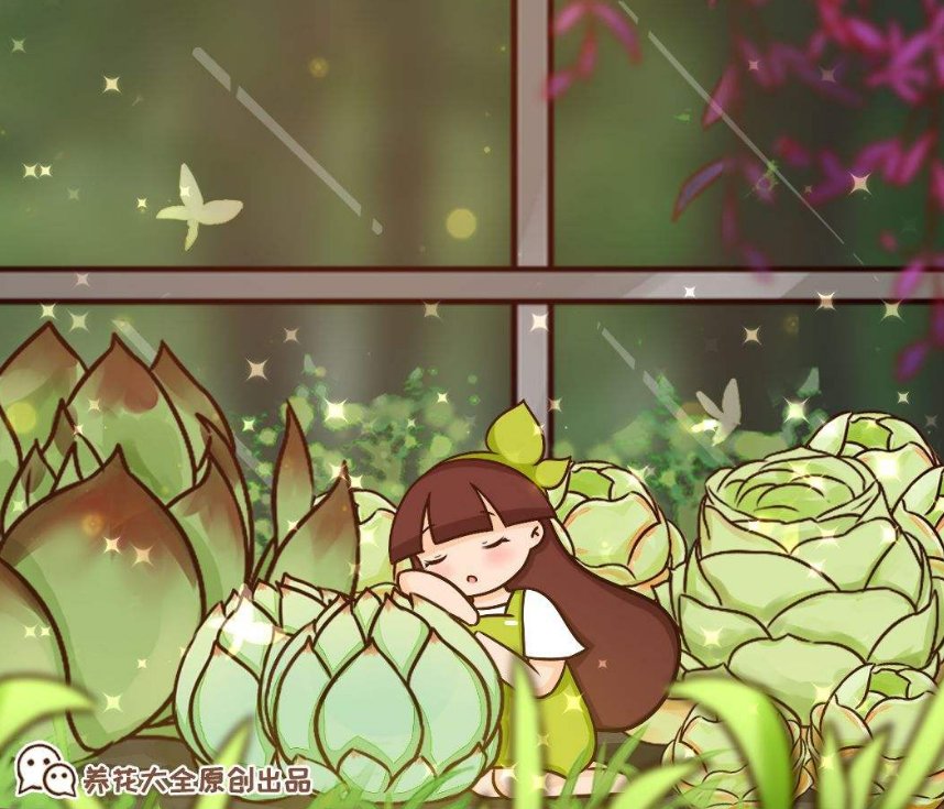 小龙虾的饲养方法：全面指南