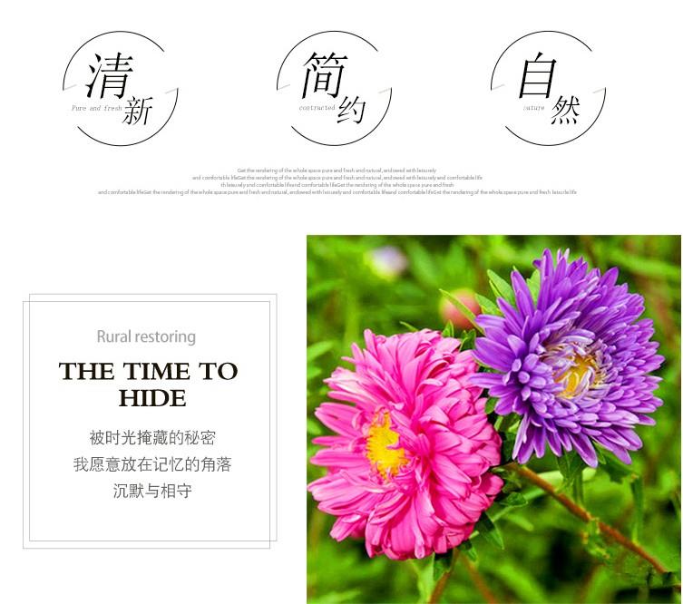 沙漠玫瑰扦插方法：掌握技巧，轻松繁殖