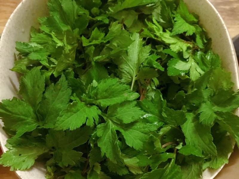杀菌灵的使用方法：植物养护中的高效助手
