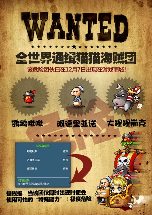 盆栽橡皮树怎么养：养护技巧与注意事项