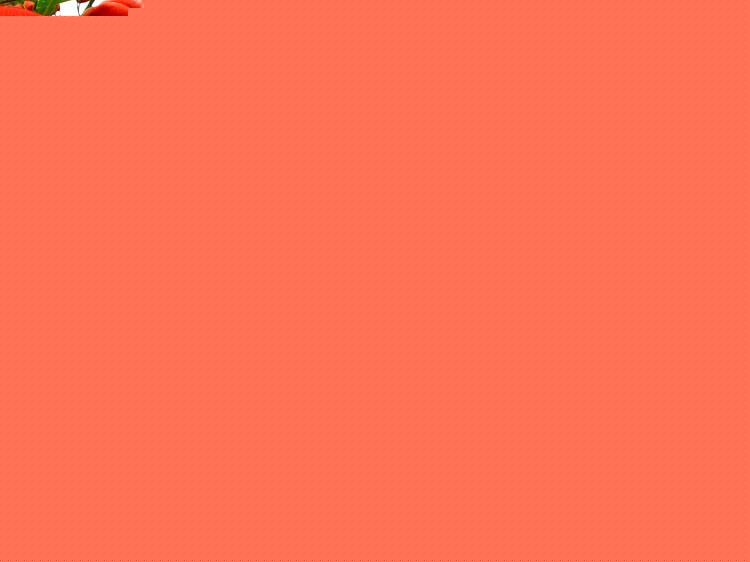 云竹盆栽：养护技巧与美学布置