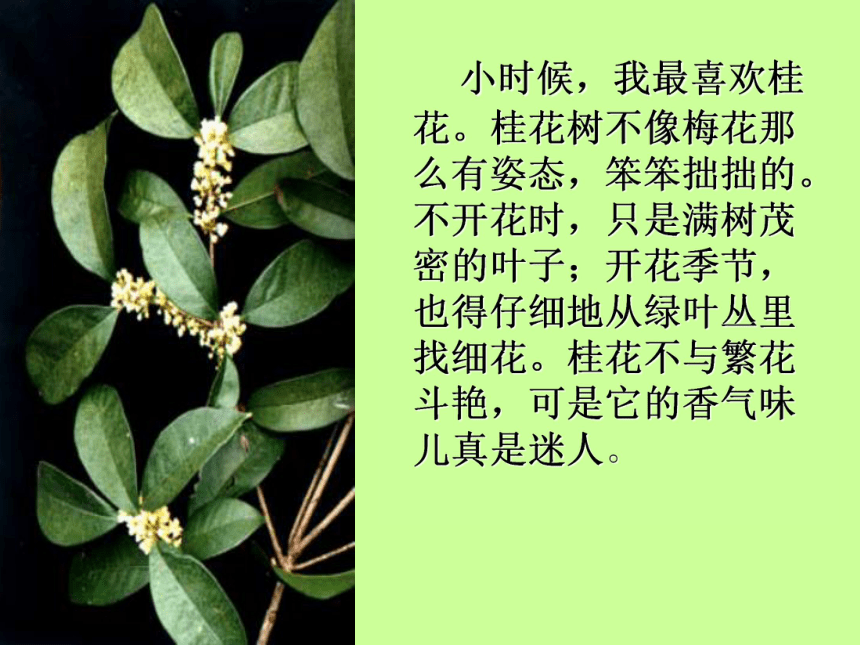 助农的方法：创新举措助力乡村振兴