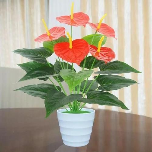 紫叶扦插：掌握技巧，养出繁茂紫叶植物