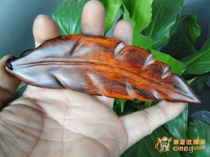 海棠果盆栽：美丽与实用的完美结合
