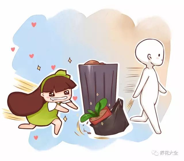 佛手掌的扦插方法：轻松繁殖多肉植物