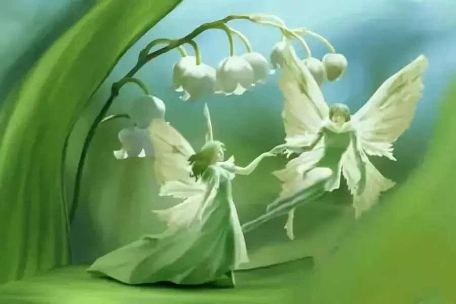 榕树大枝扦插方法图：专业园丁的详细指南
