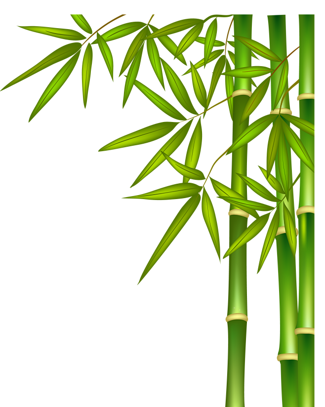 冬天茉莉扦插：掌握技巧，让茉莉花盛开过冬
