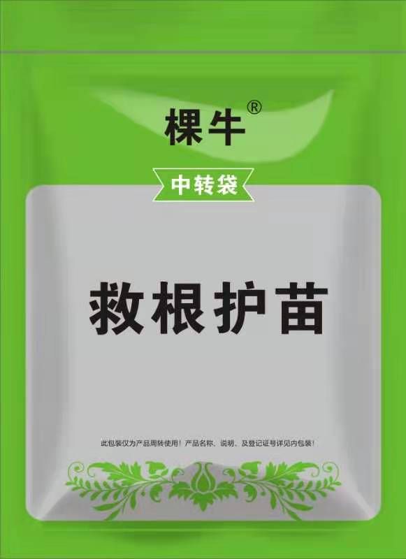 扶桑的扦插方法：繁殖技巧与养护指南