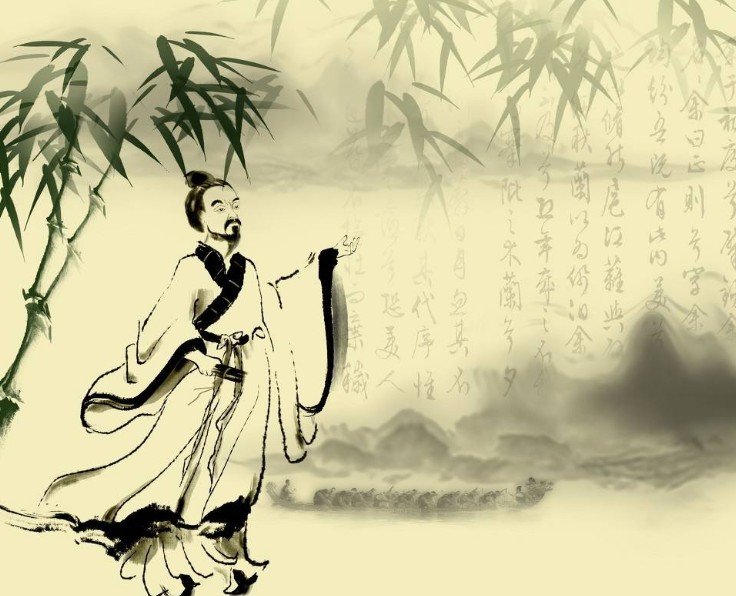 鸭掌木柴怎么扦插：家庭园艺新手的必备指南