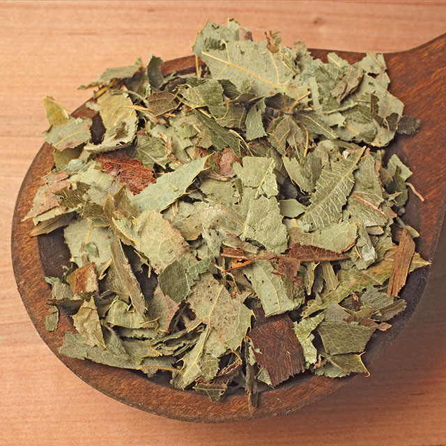 朱槿牡丹繁殖方法：详解种植与养护技巧