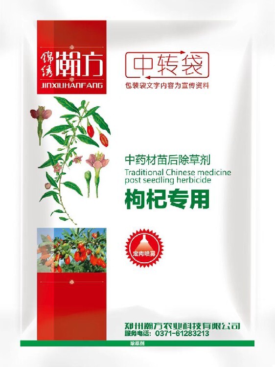 水苔扦插石斛：高效繁殖的绿色技巧