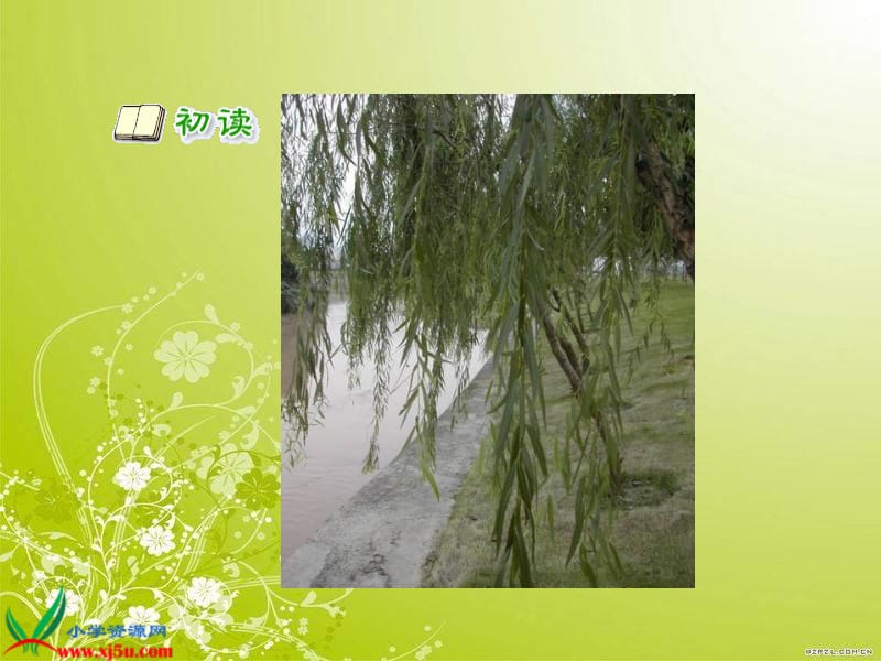 佛手扦插枝条：掌握技巧，实现高效繁殖