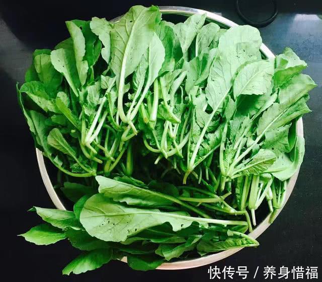 野生金钱龟的诱捕方法