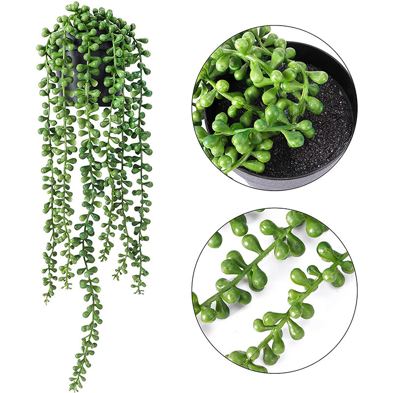 盆栽桃花移植：专业园丁的移植指南