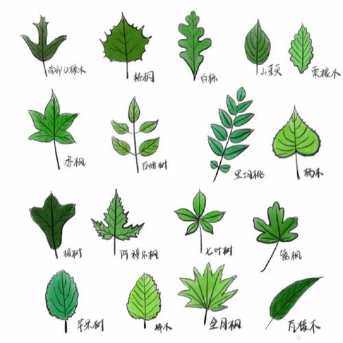 巢虫消灭方法：有效防控害虫入侵