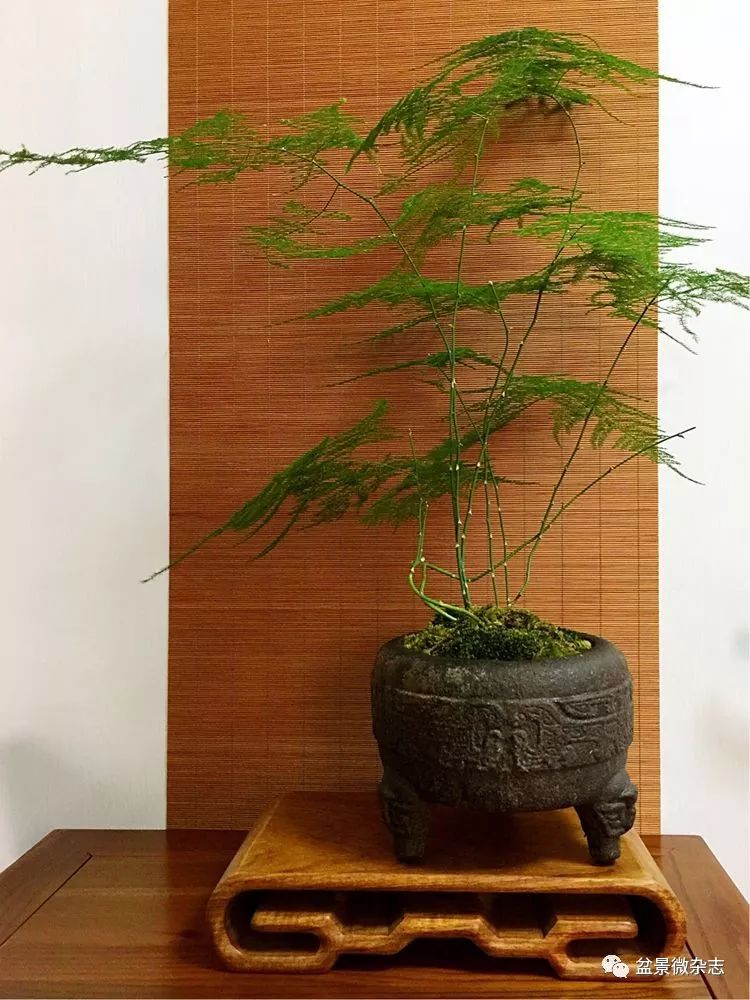移虫针的使用方法图片：详解植物养殖必备工具