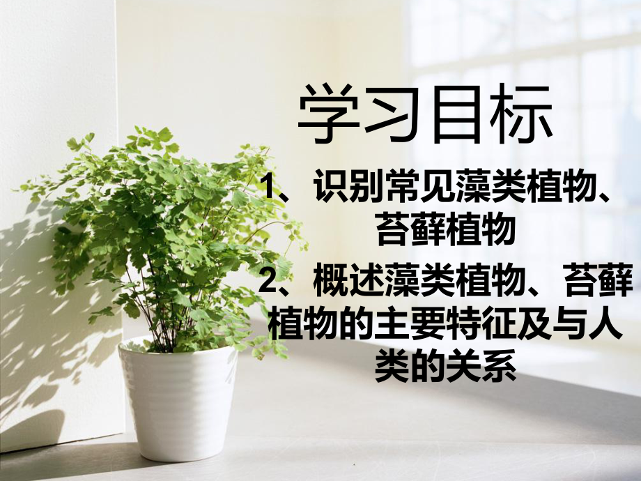 哪些花卉扦插不活：揭秘常见失败案例