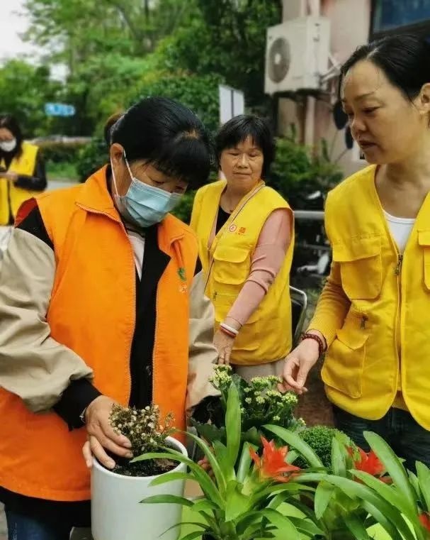 肉鸽养殖方法：从入门到精通的全指南