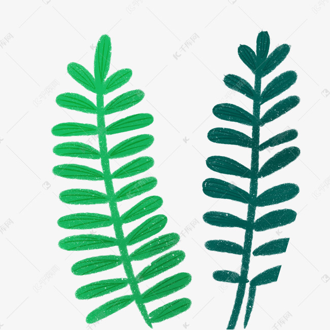 水生荷花怎么养殖方法：全面指南
