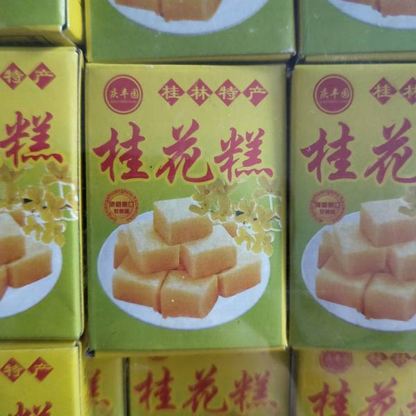 盆栽植物的名称大全：探索室内绿植的无限魅力