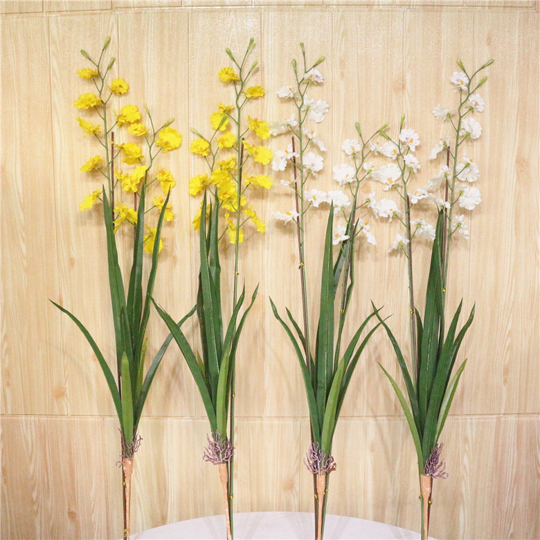 康乃馨花束扦插：繁殖技巧与养护指南