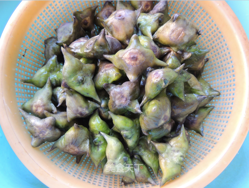 蓝莓扦插：掌握技巧，轻松繁殖