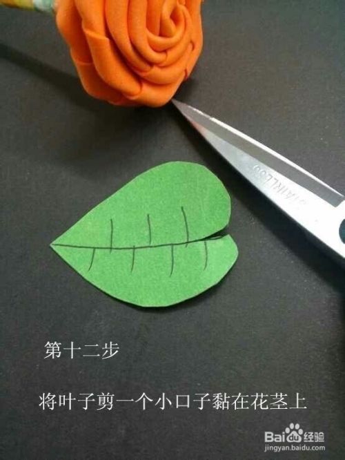 火龙果怎么种植方法：掌握关键步骤，实现丰收梦想